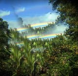 Aloha from Hawai'i: #13 Maui Daze Nicholas Posante